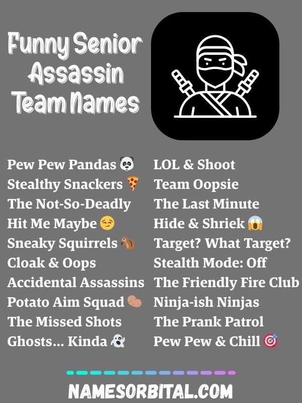 Funny Senior Assassin Team Names