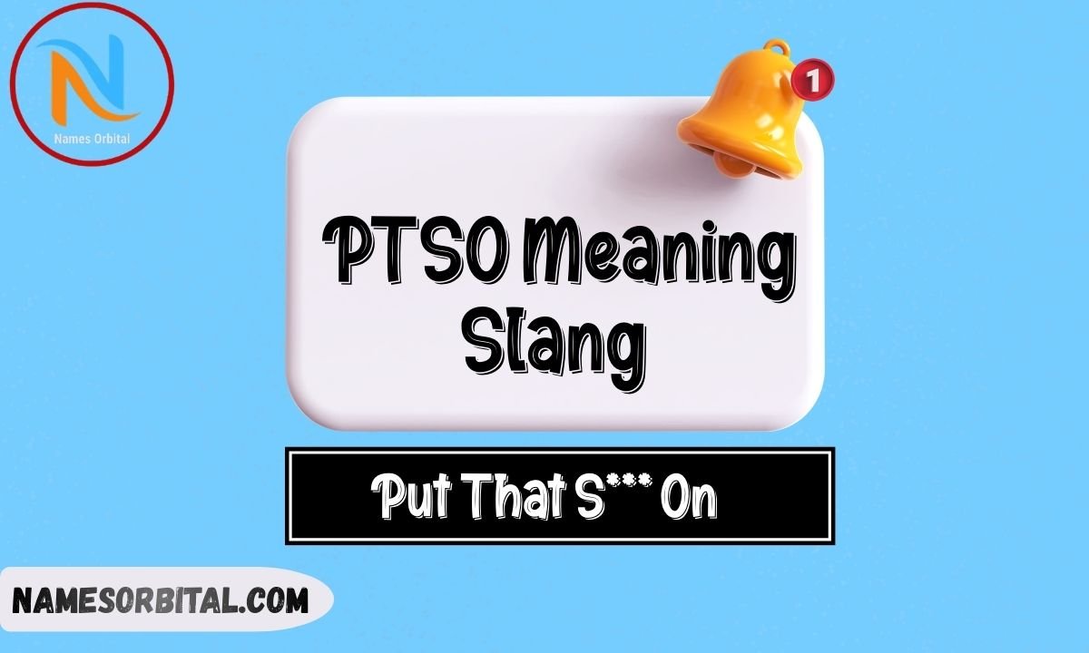 PTSO Meaning Slang